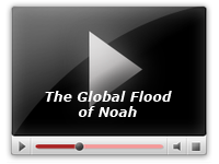 The Global Flood of Noah